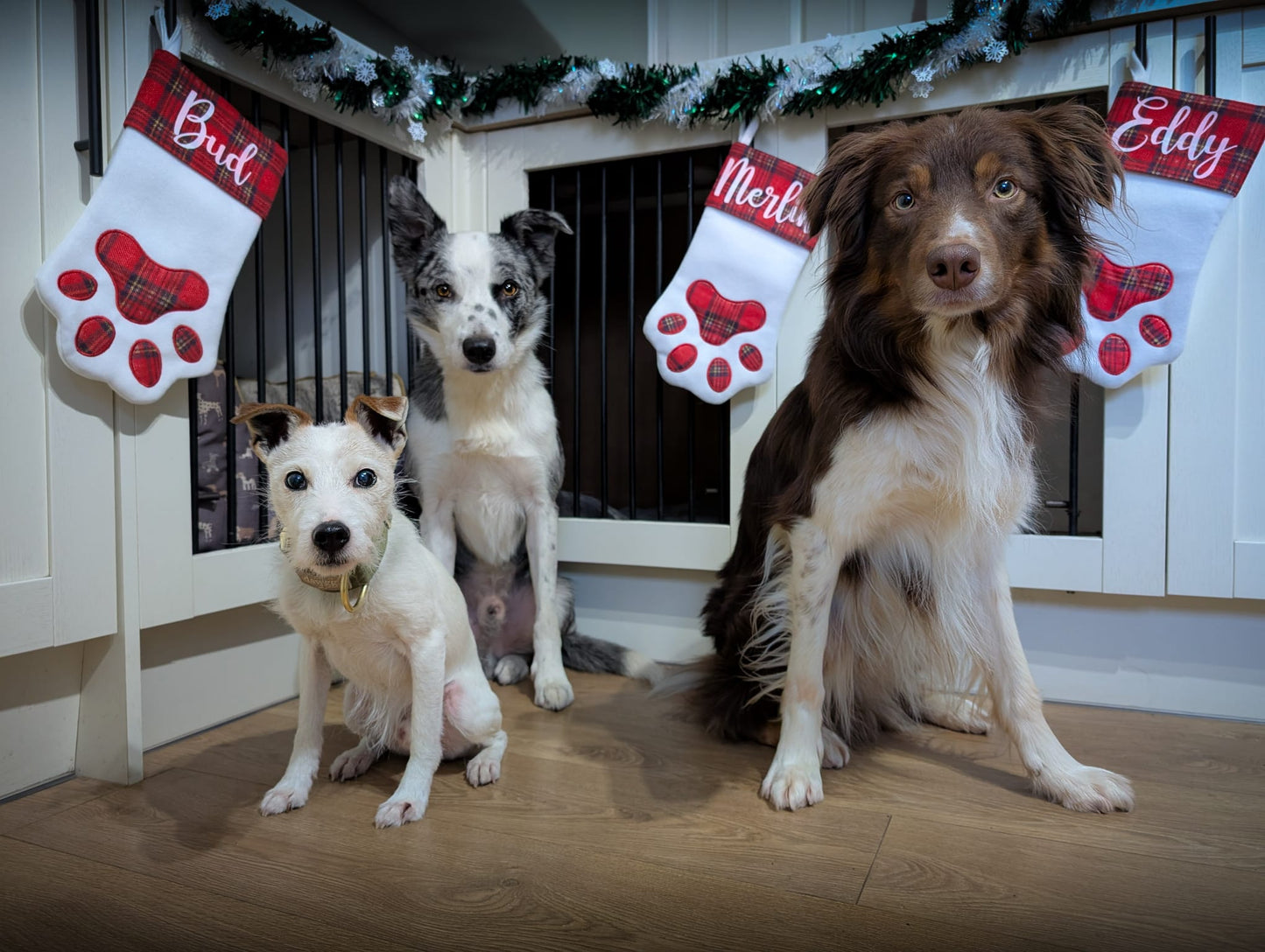 Santa Paws Dog Stocking