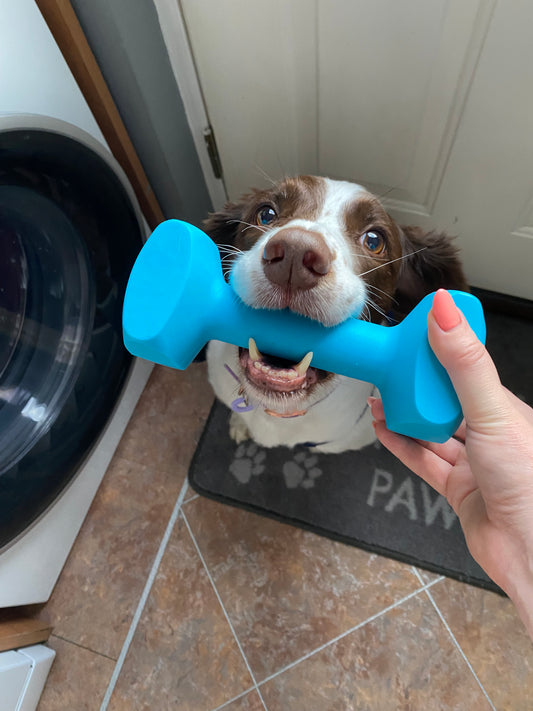 Training Dummbell