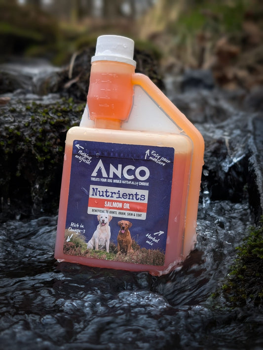 Anco Salmon Oil (500ml)