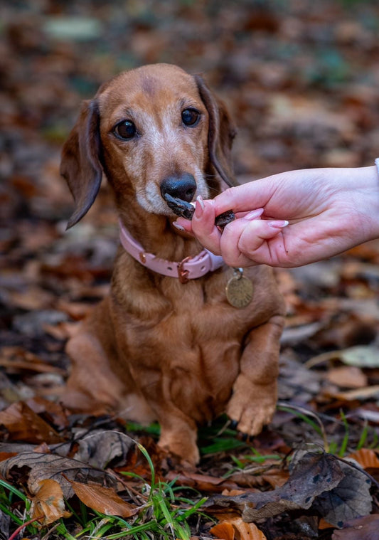 Liver Training Treats