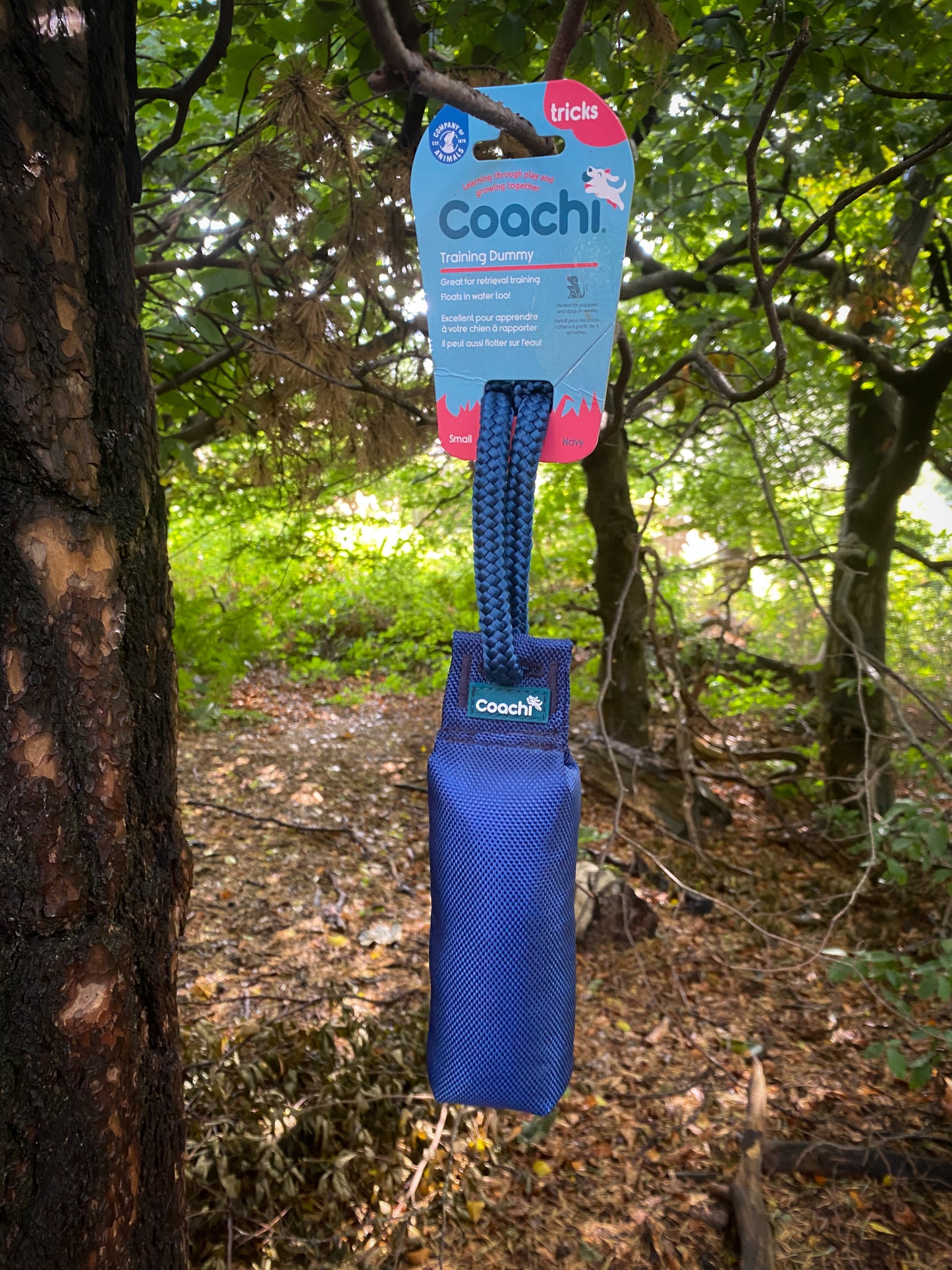 Coachi Training Dummies