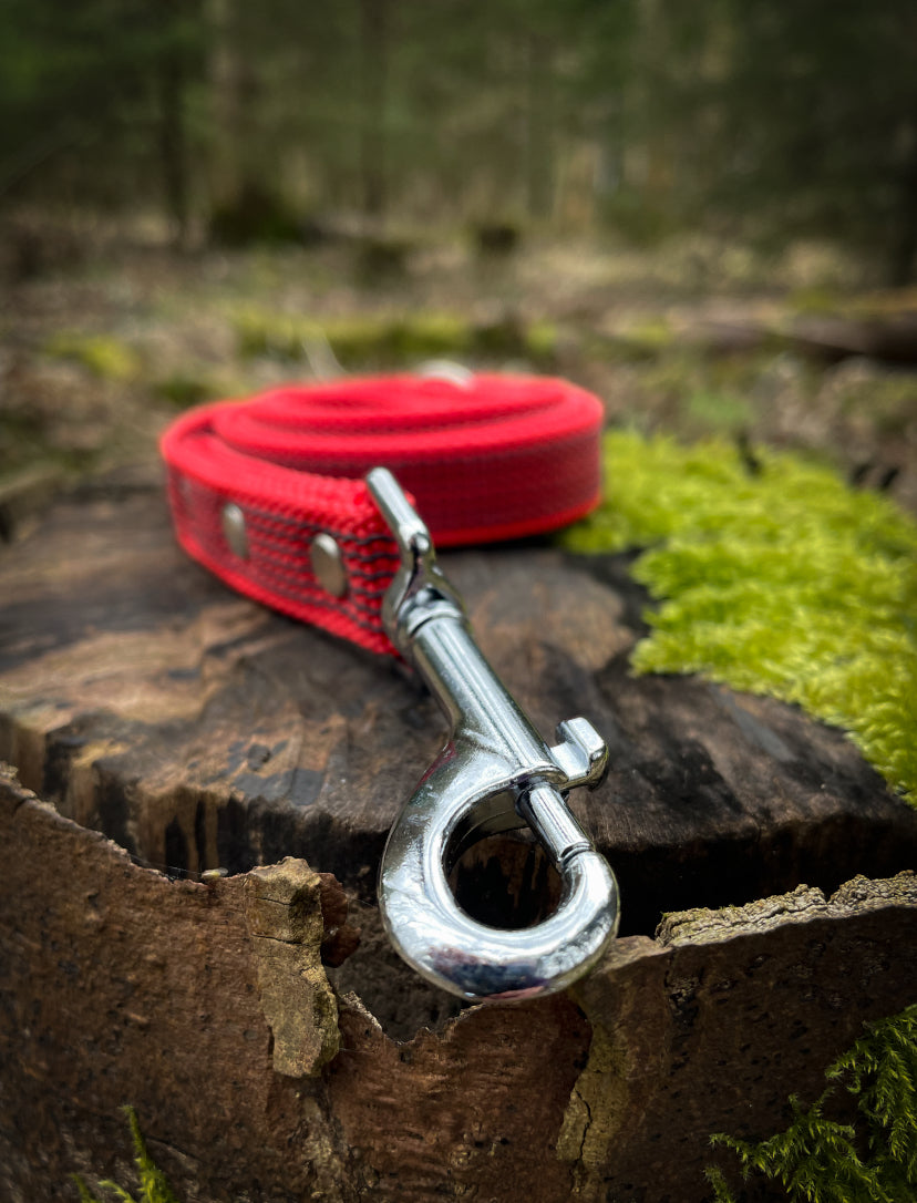 Rubber Webbing Training Lines