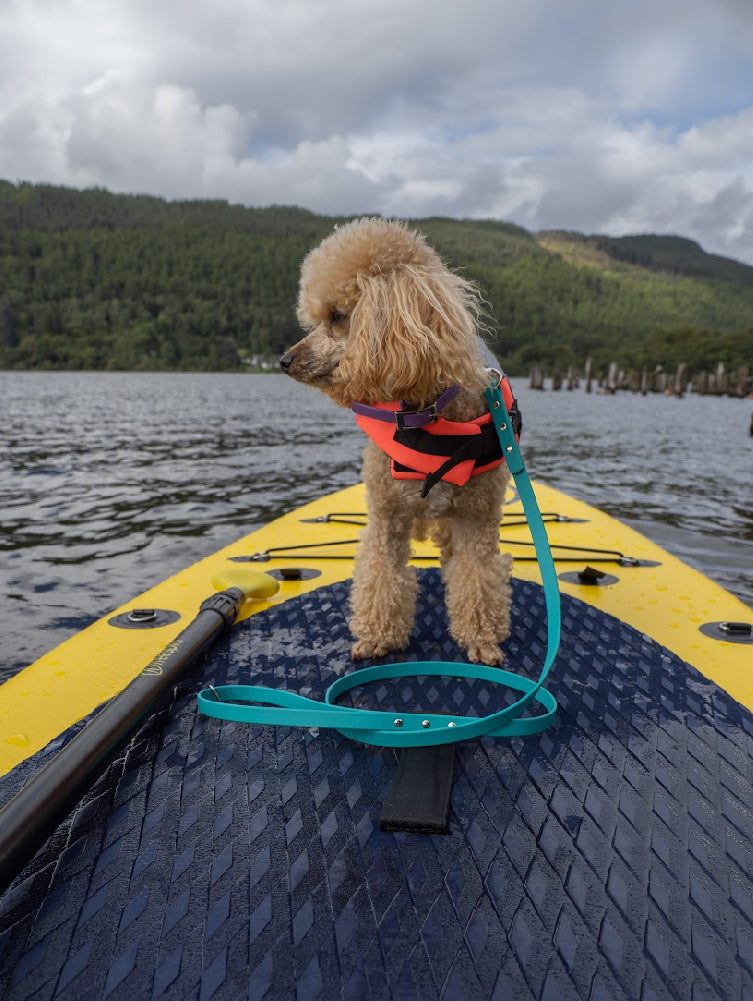 BioThane® Collar and Lead Sets (12mm)