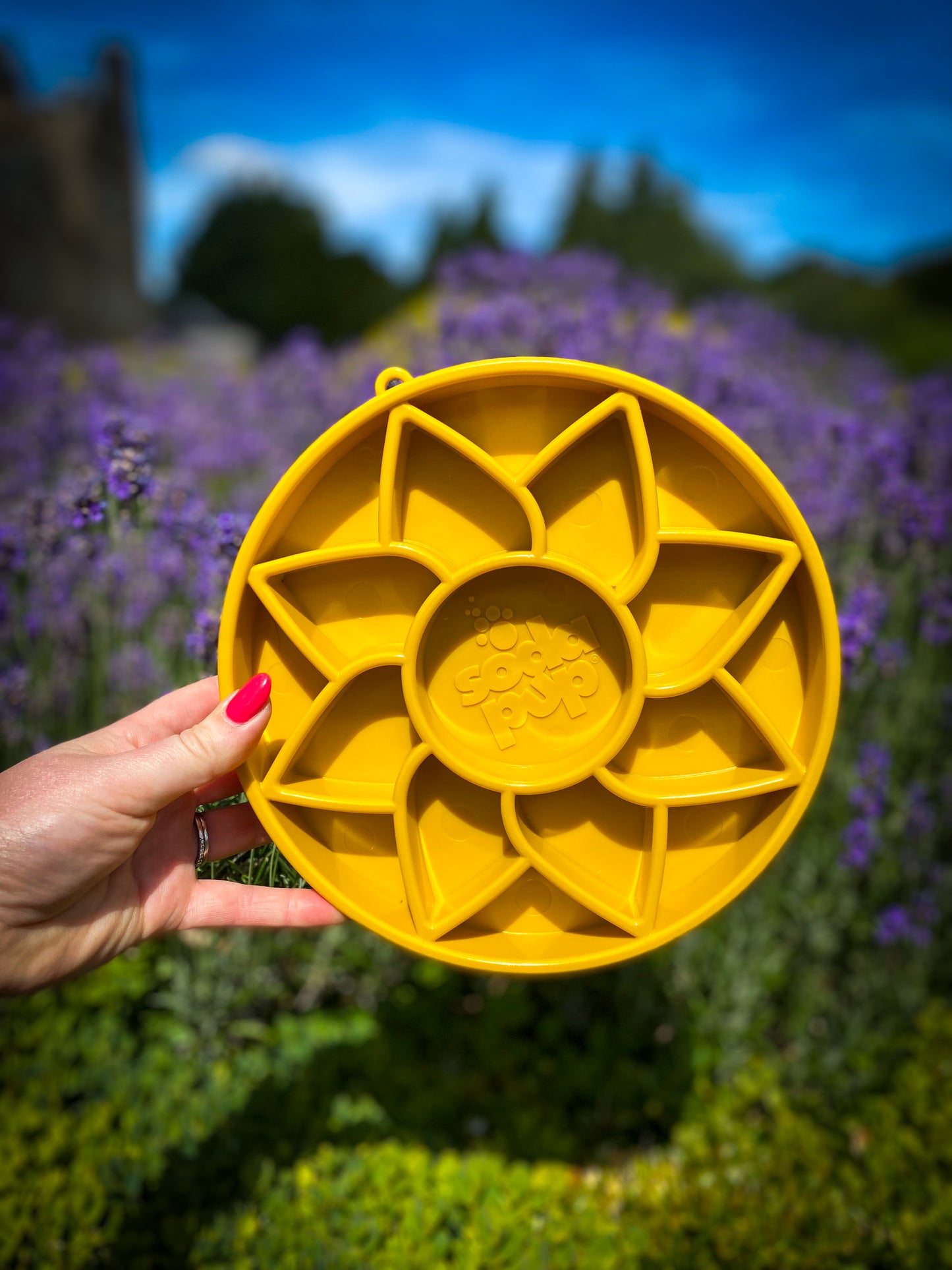 SodaPup Sunflower Slow Feeder Bowls