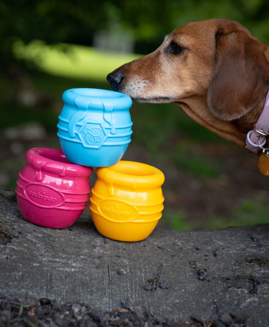 SodaPup Honey Pot Treat Dispenser