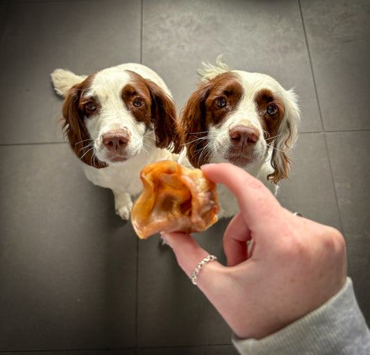 Porky Bites