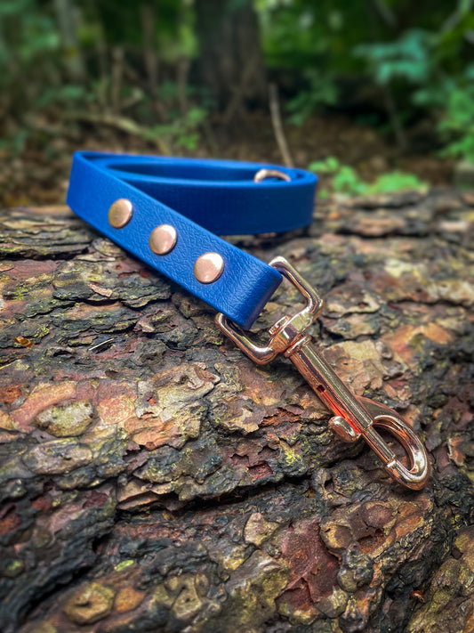 BioThane® Leads (19mm)