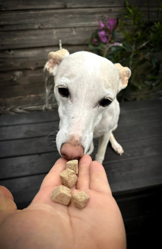 JR Pet Products - Freeze Dried Liver Treats