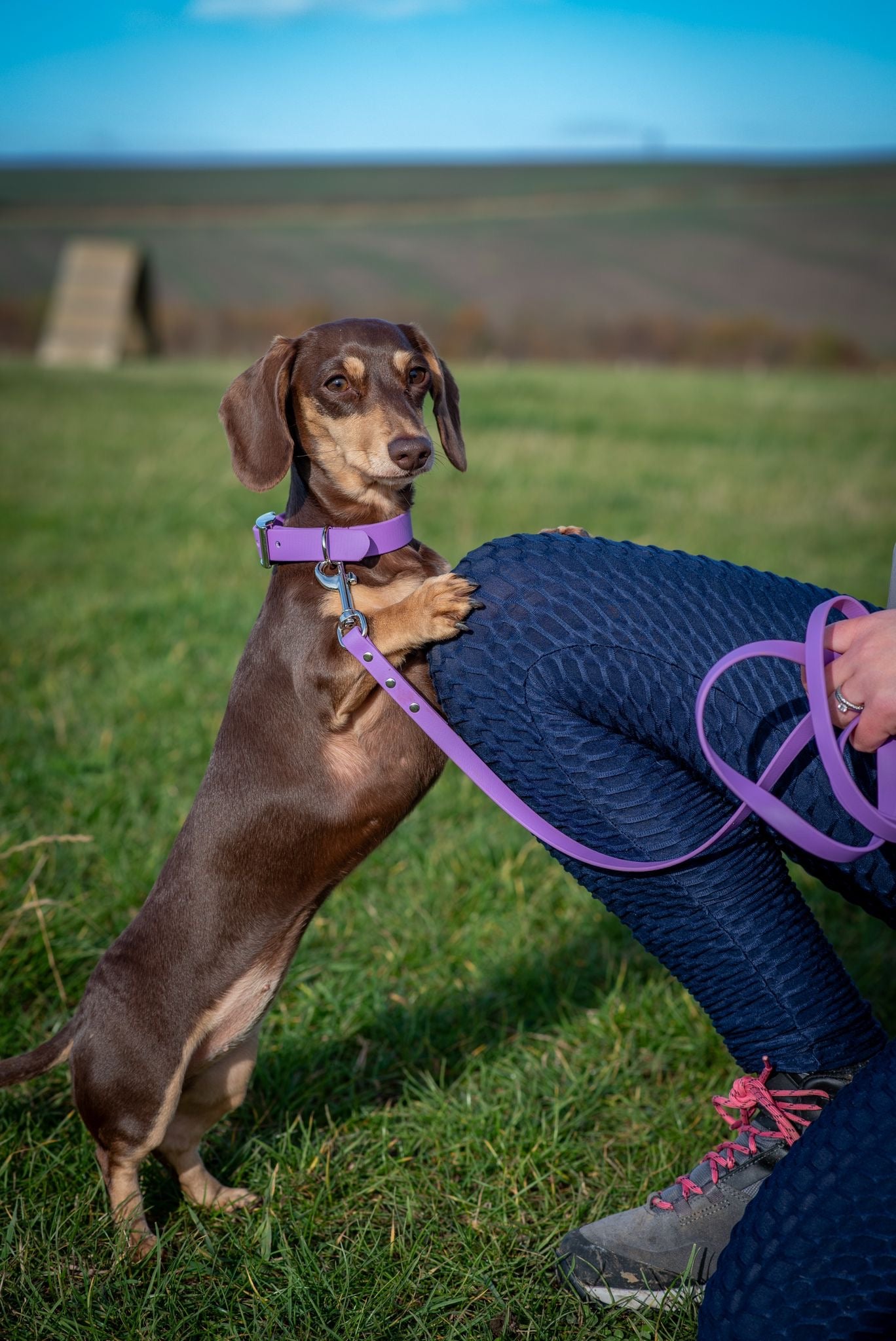 BioThane® Collar and Lead Sets (12mm)