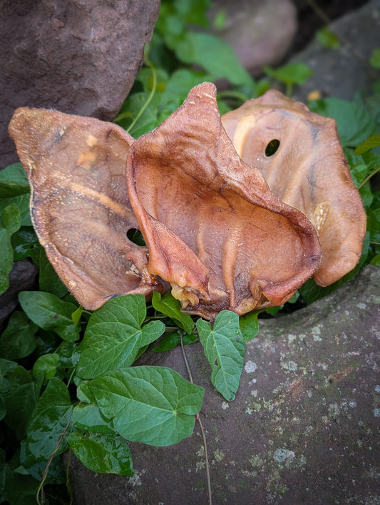 Pigs Ears