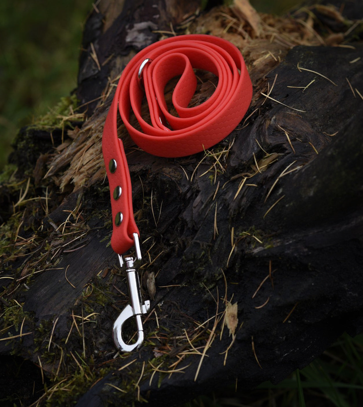 Hexa Webbing Leads