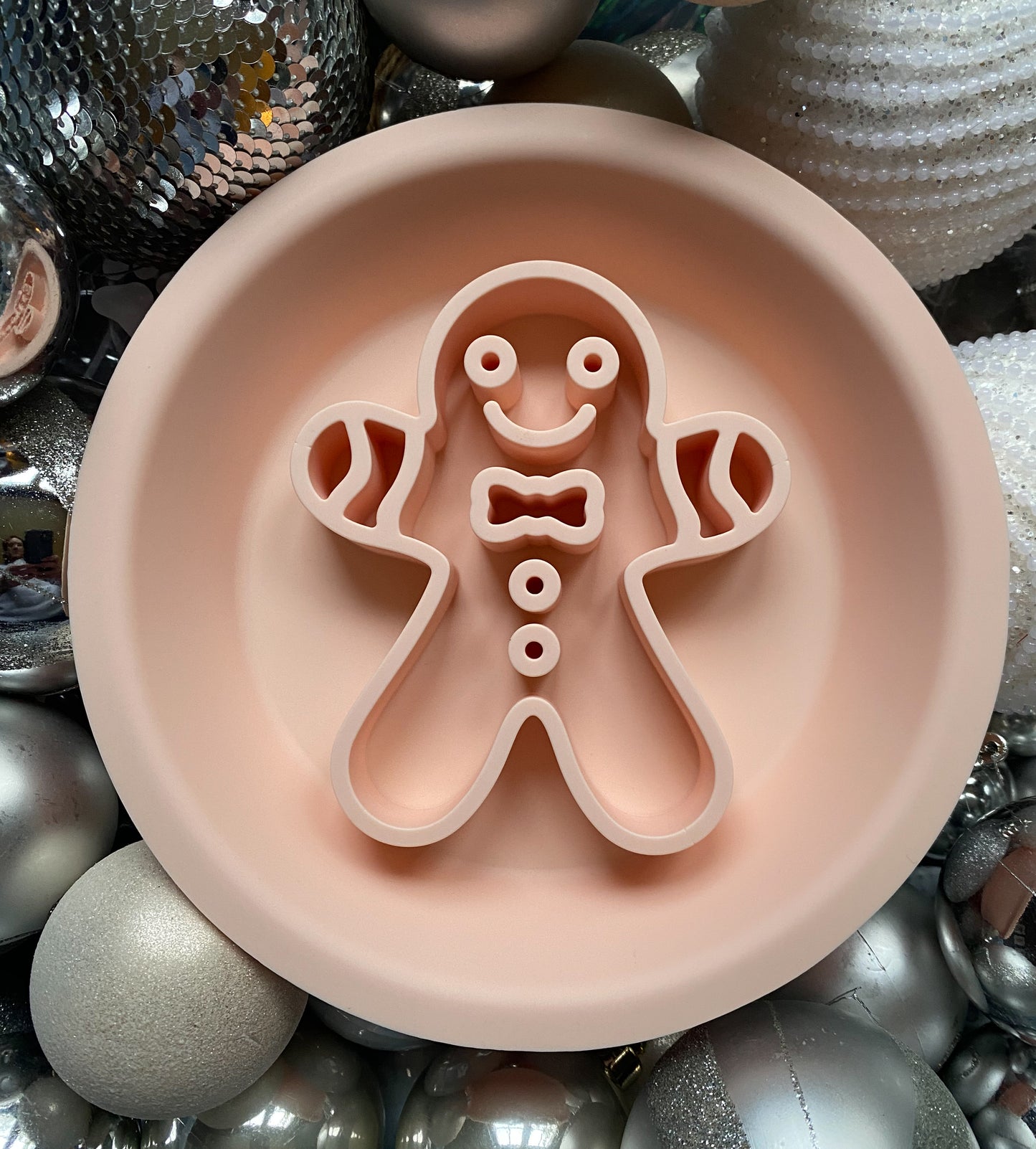 Festive Enrichment Bowl