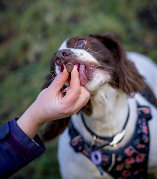 Anco Ostrich Liver Bites