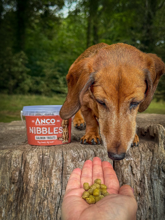 Anco Nibbles