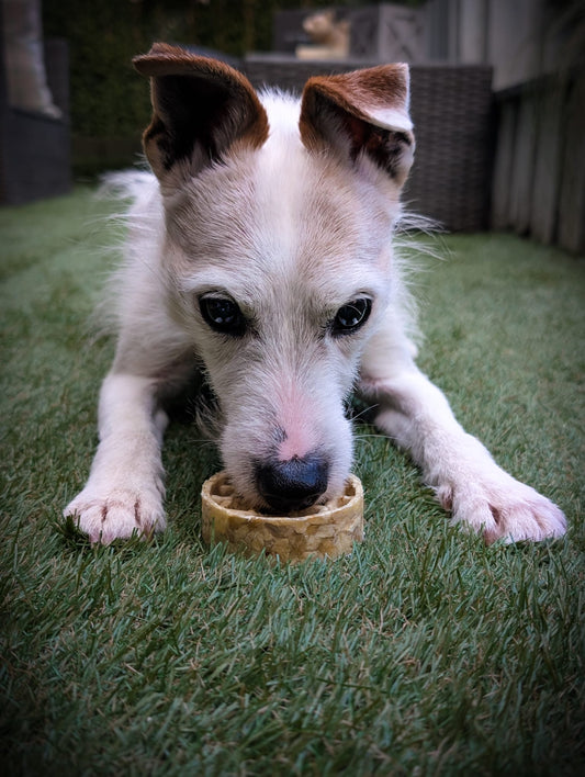 Collagen Waffles (small)