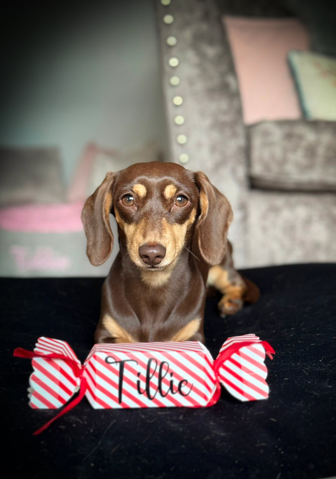 Festive Crackers (small)