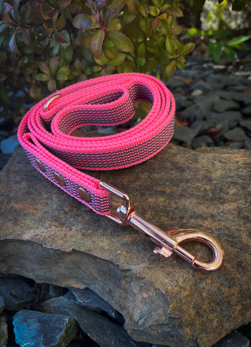 Rubber Webbing Training Lines