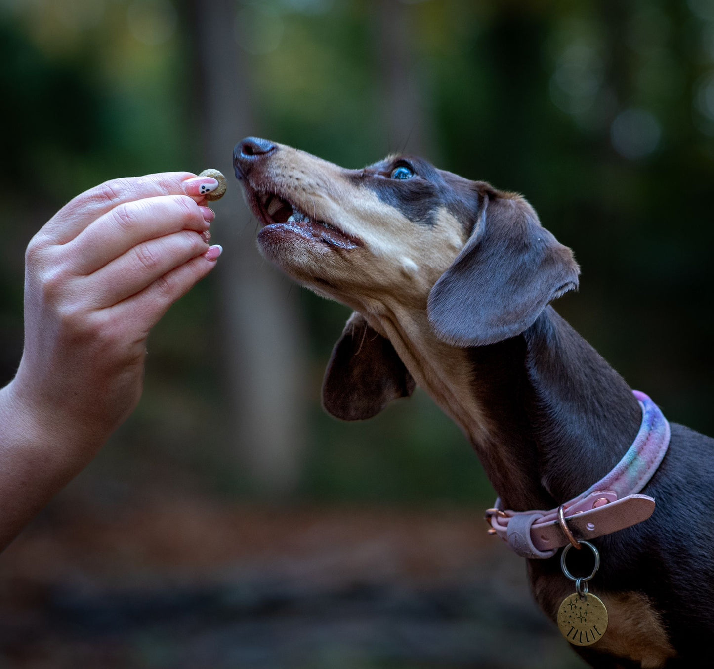 Denzel's Festive Bites