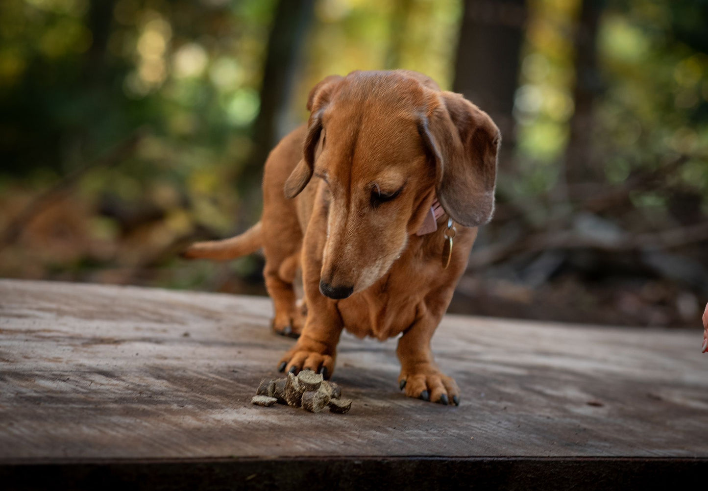 Turkey and Cranberry Sausage Slices