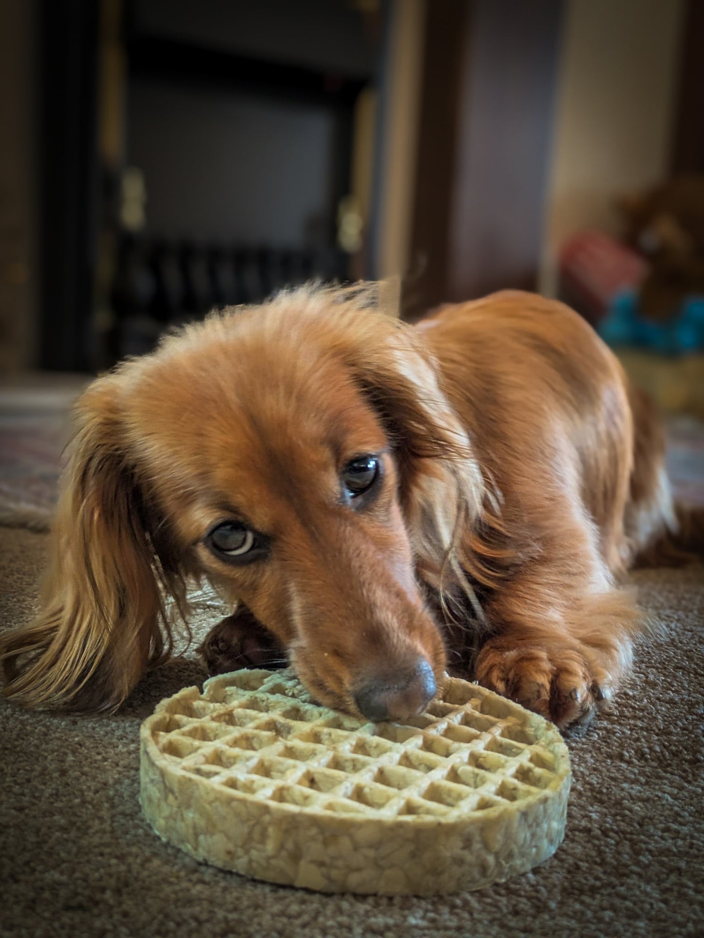 Collagen Waffles (large)