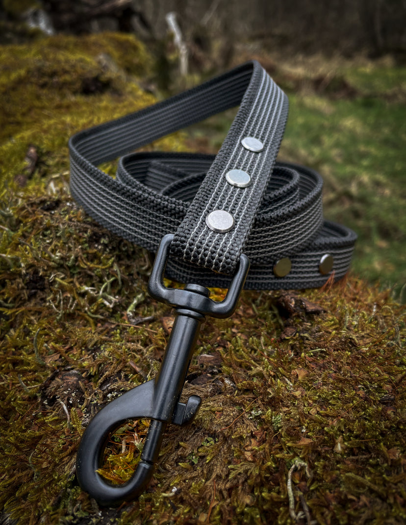 Rubber Webbing Training Lines