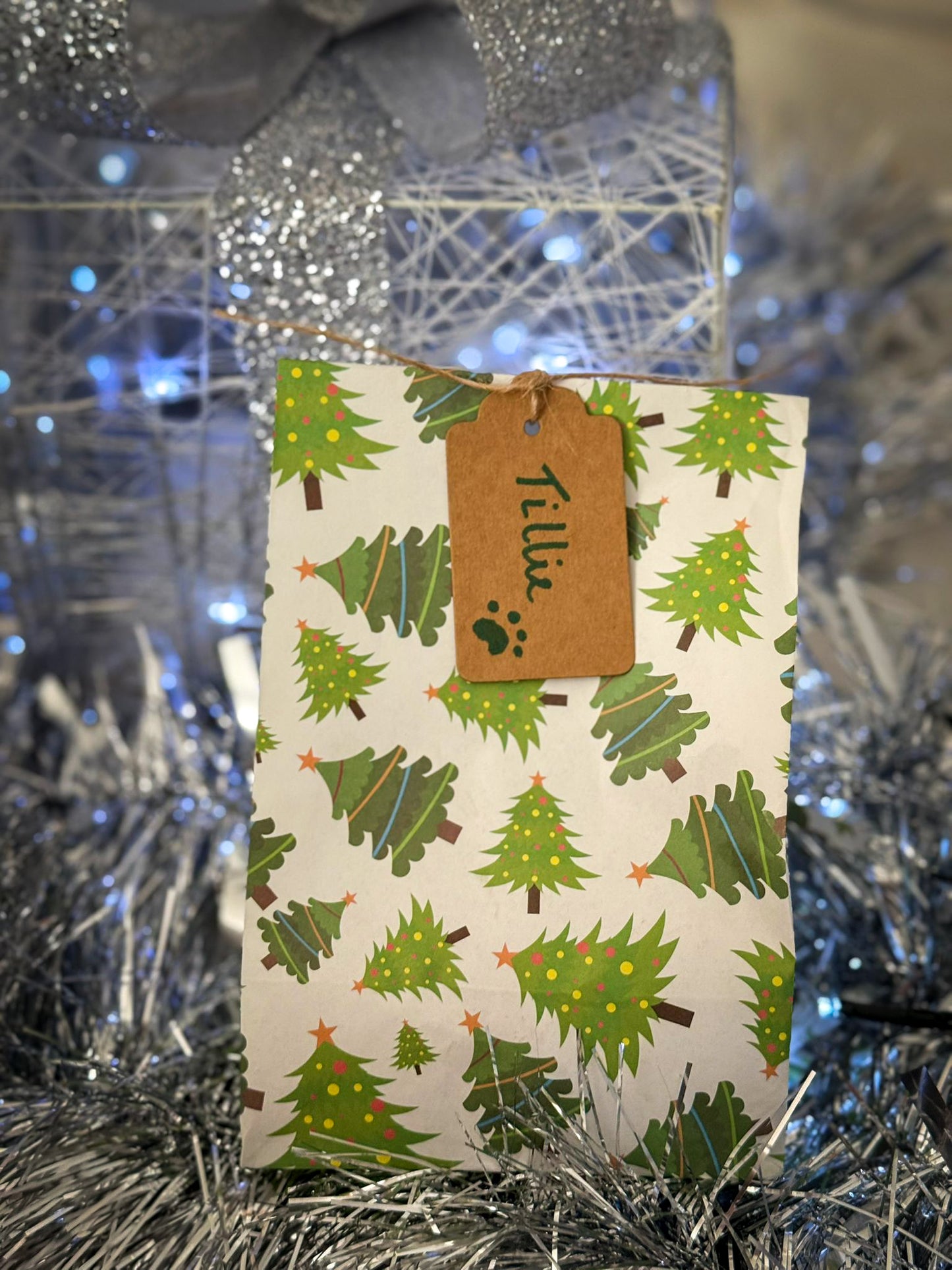 Festive Treat Bags