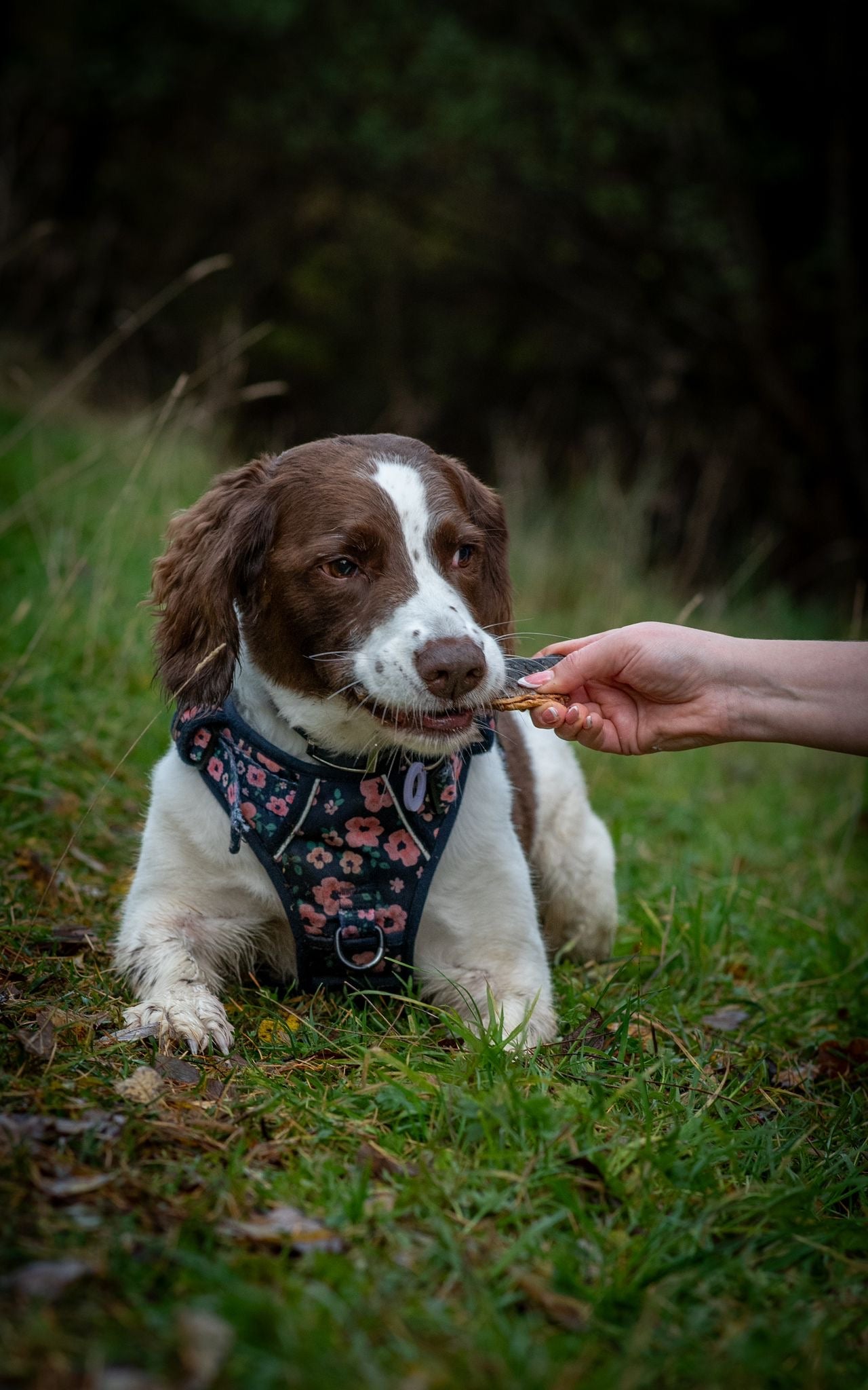 Salmon Skin Flatties