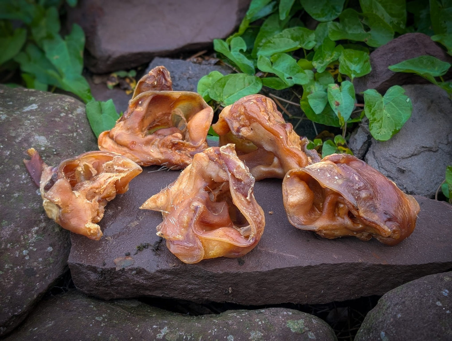Porky Bites