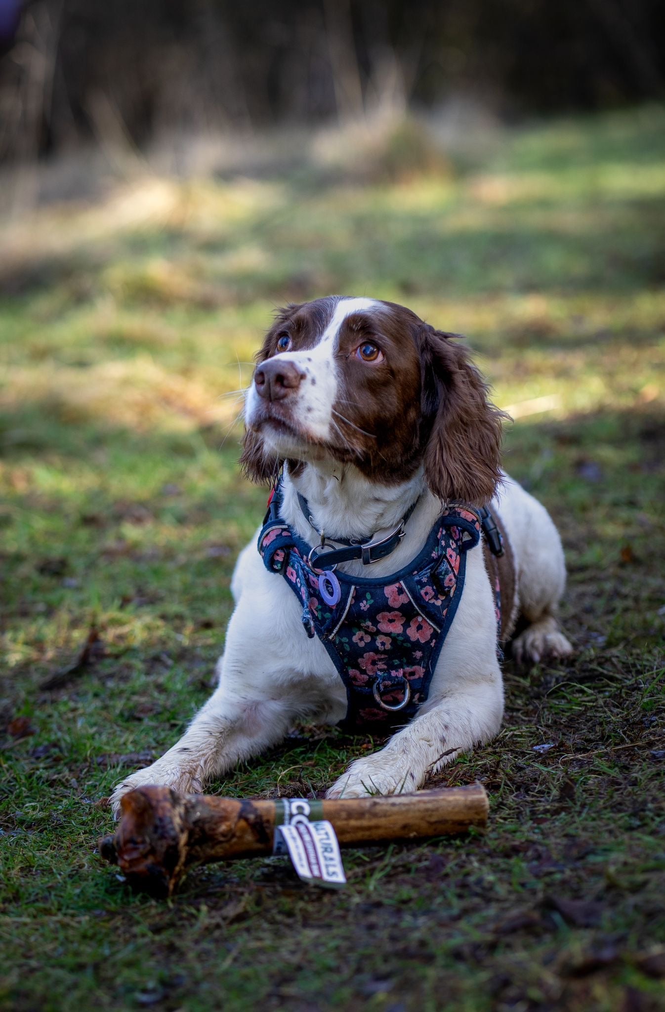 Ostrich Mini Caveman Bone