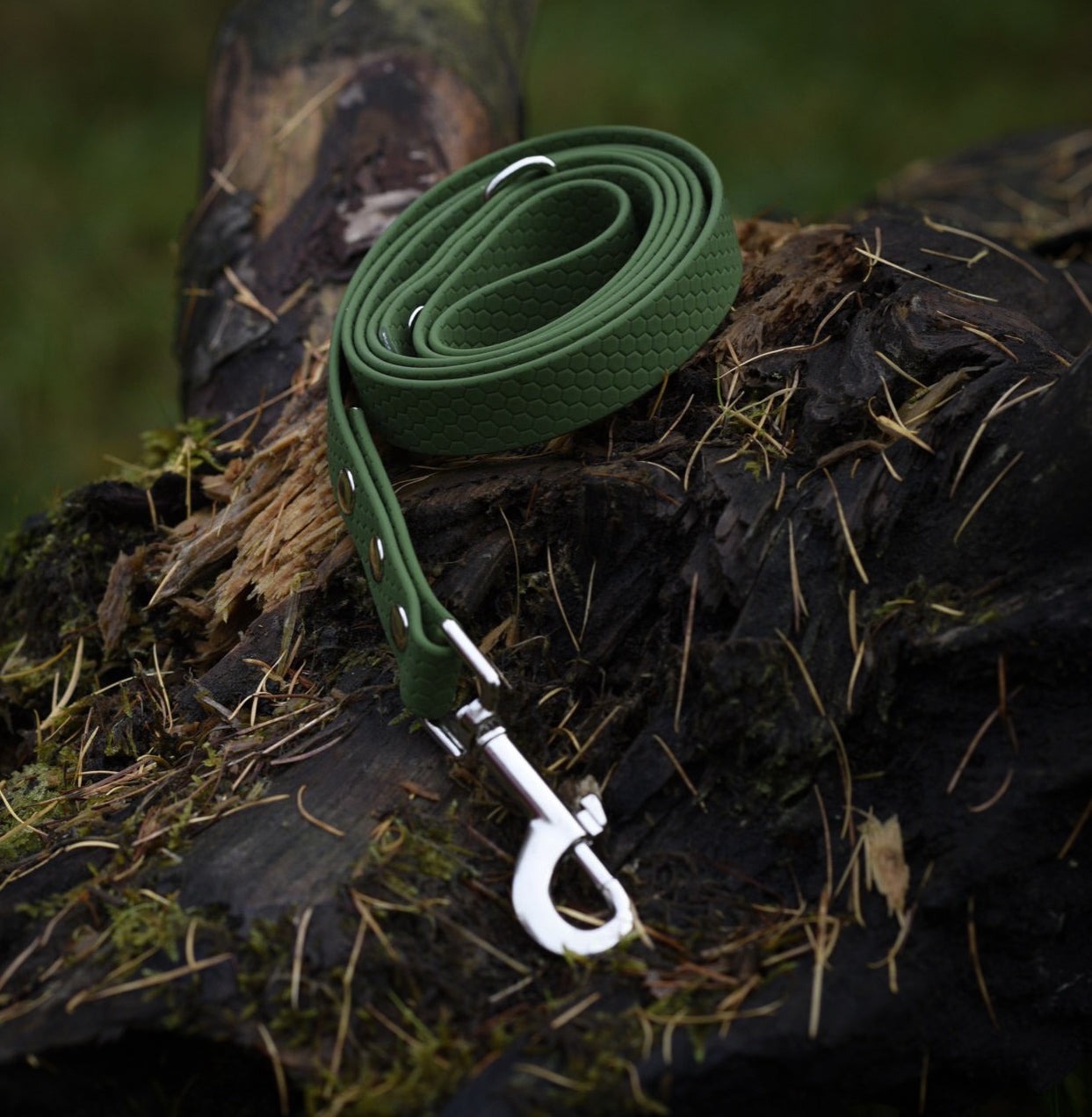 Hexa Webbing Training Lines