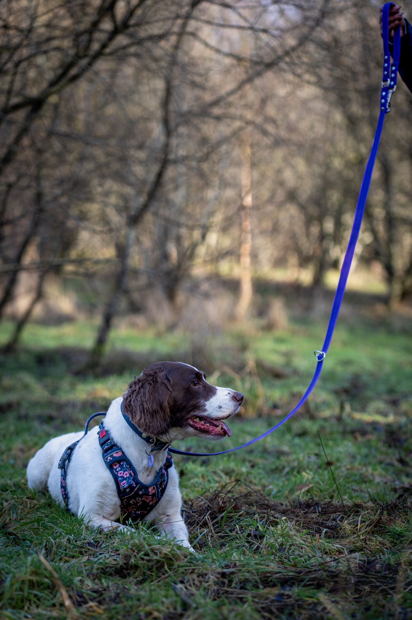 Rubber Webbing Multiway Lead