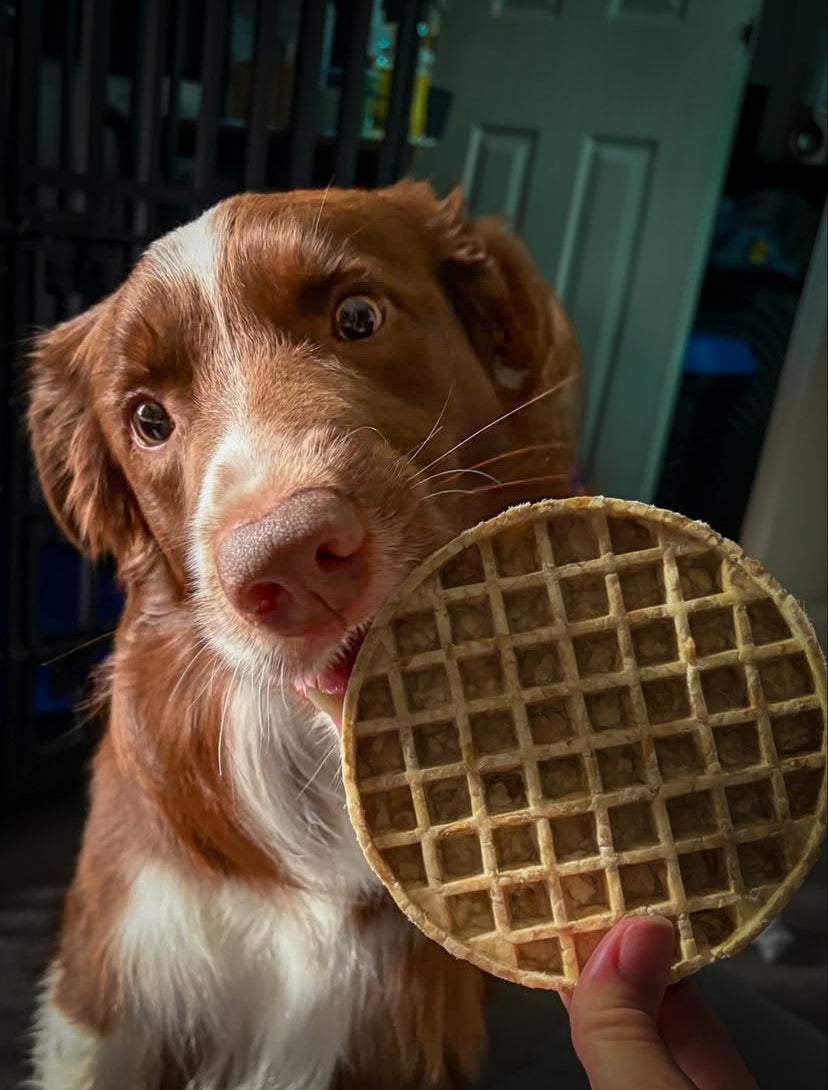 Collagen Waffles (large)