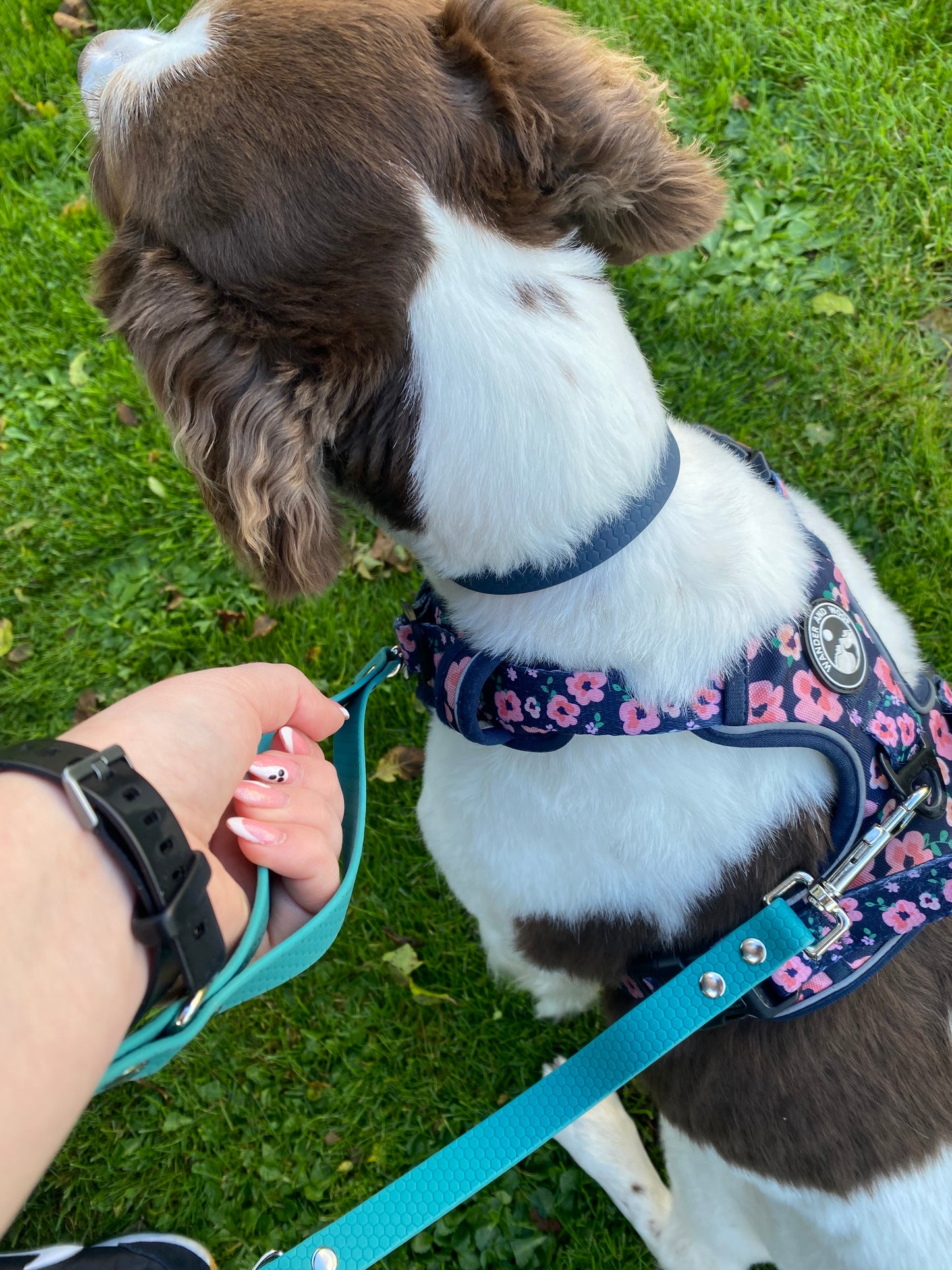 Mizz Pawz Collar and Lead Set