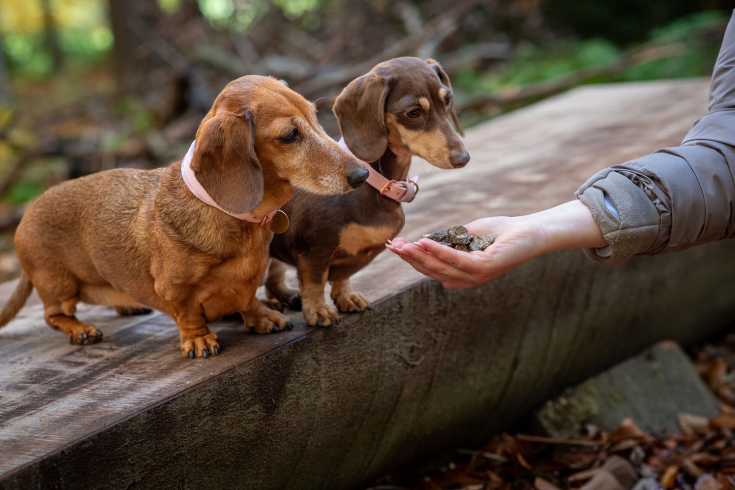 Turkey and Cranberry Sausage Slices