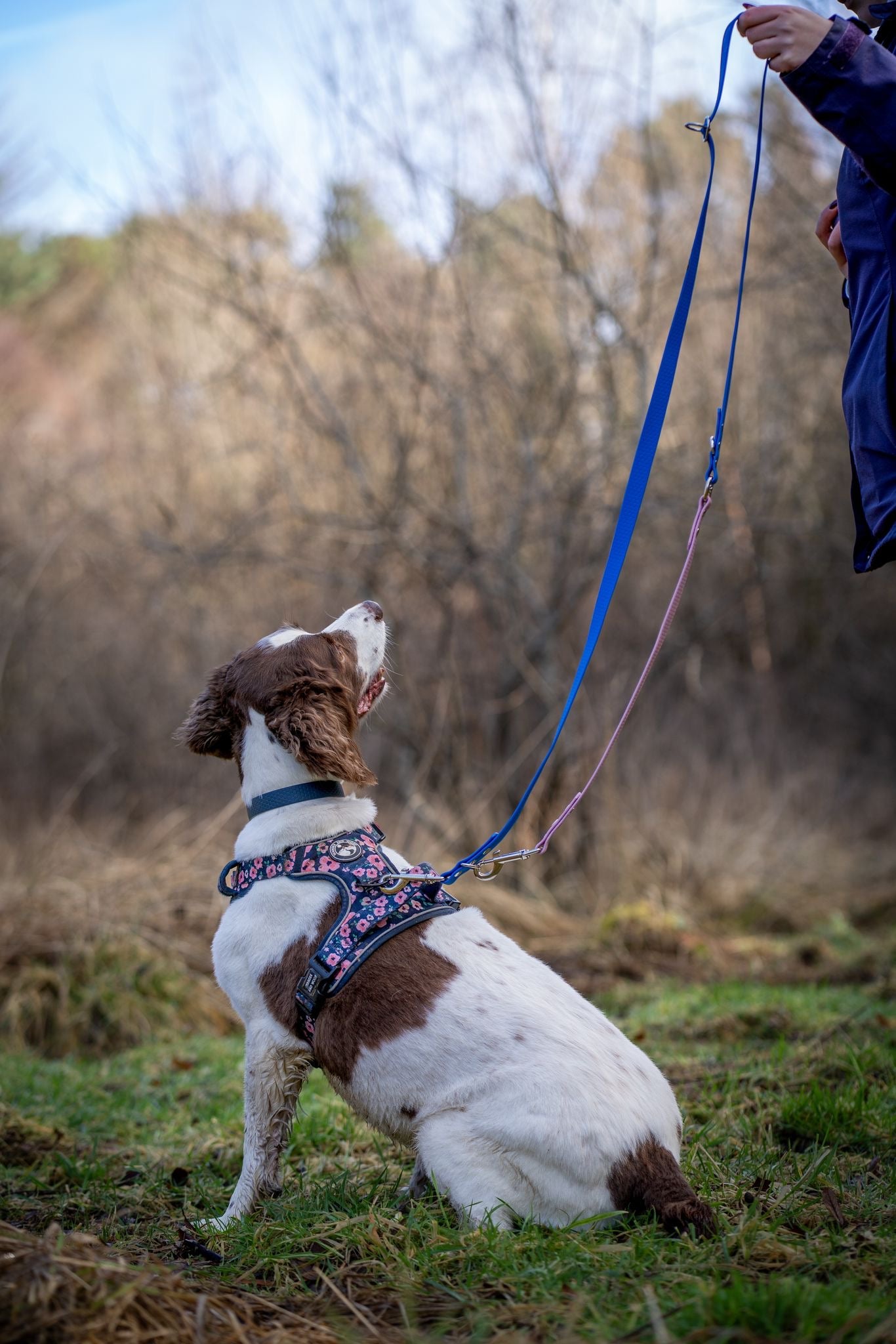 Hexa Duallie Multiway Lead