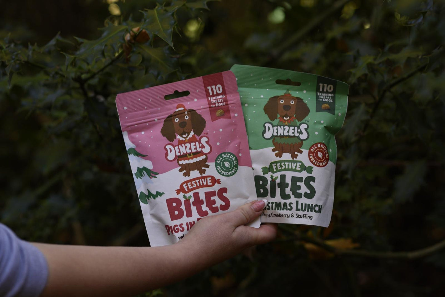 Denzel's Festive Bites