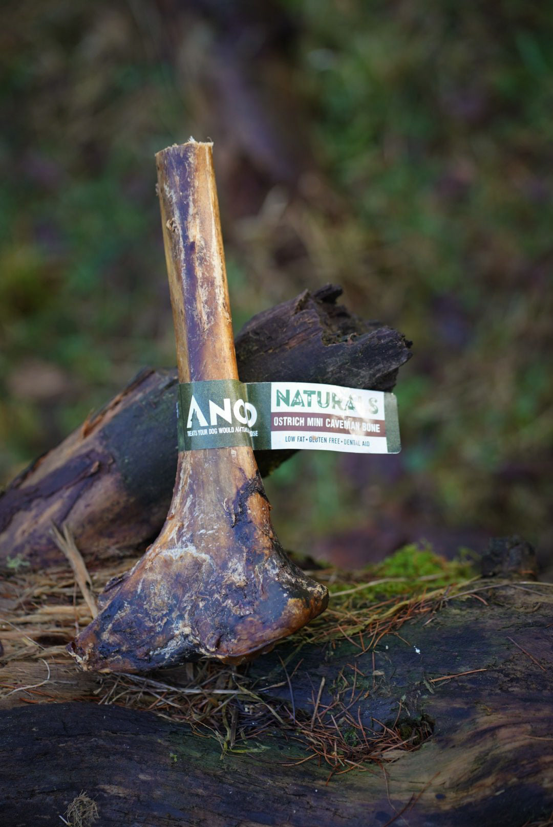 Ostrich Mini Caveman Bone