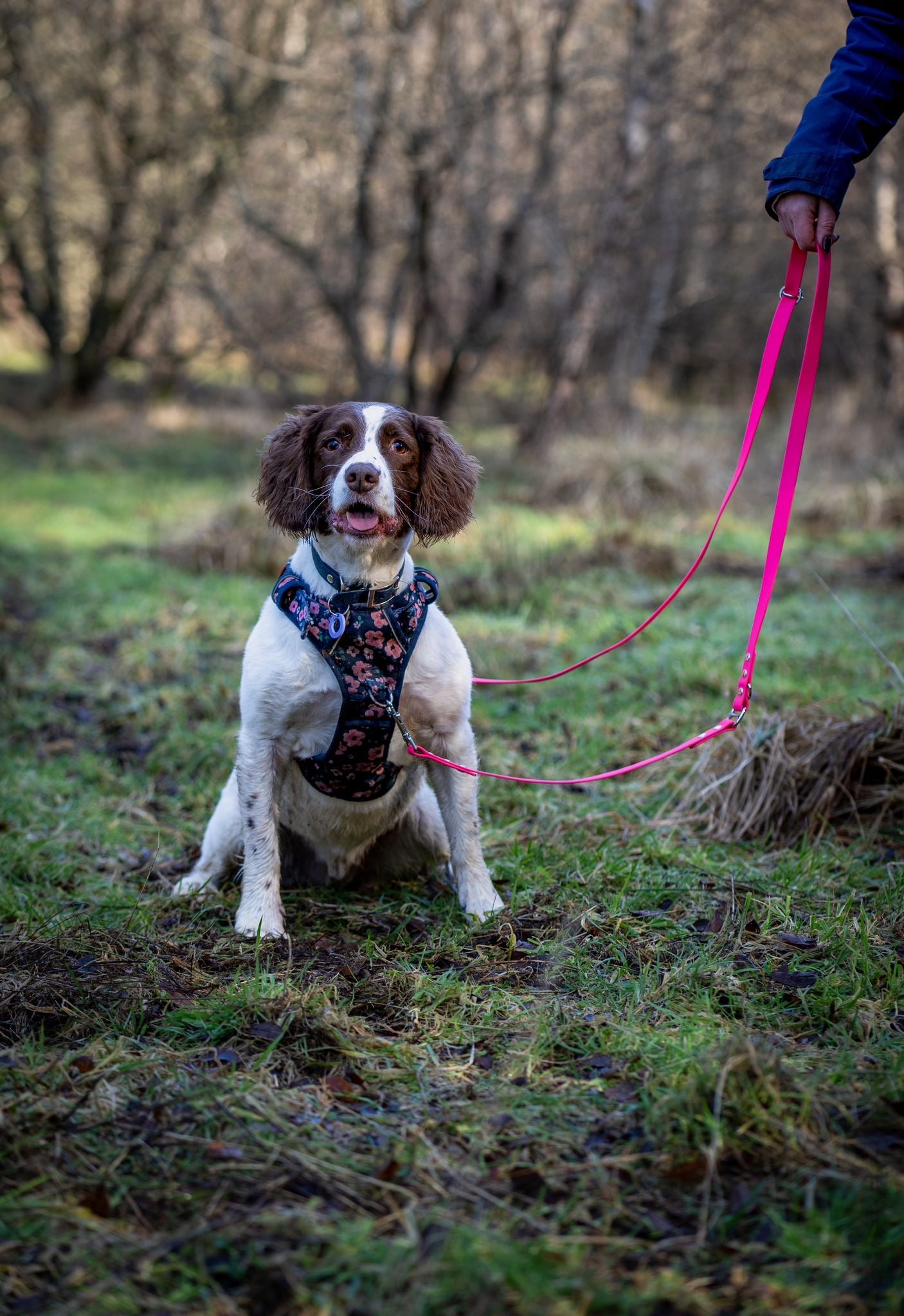 BioThane® Multiway Lead (19mm)