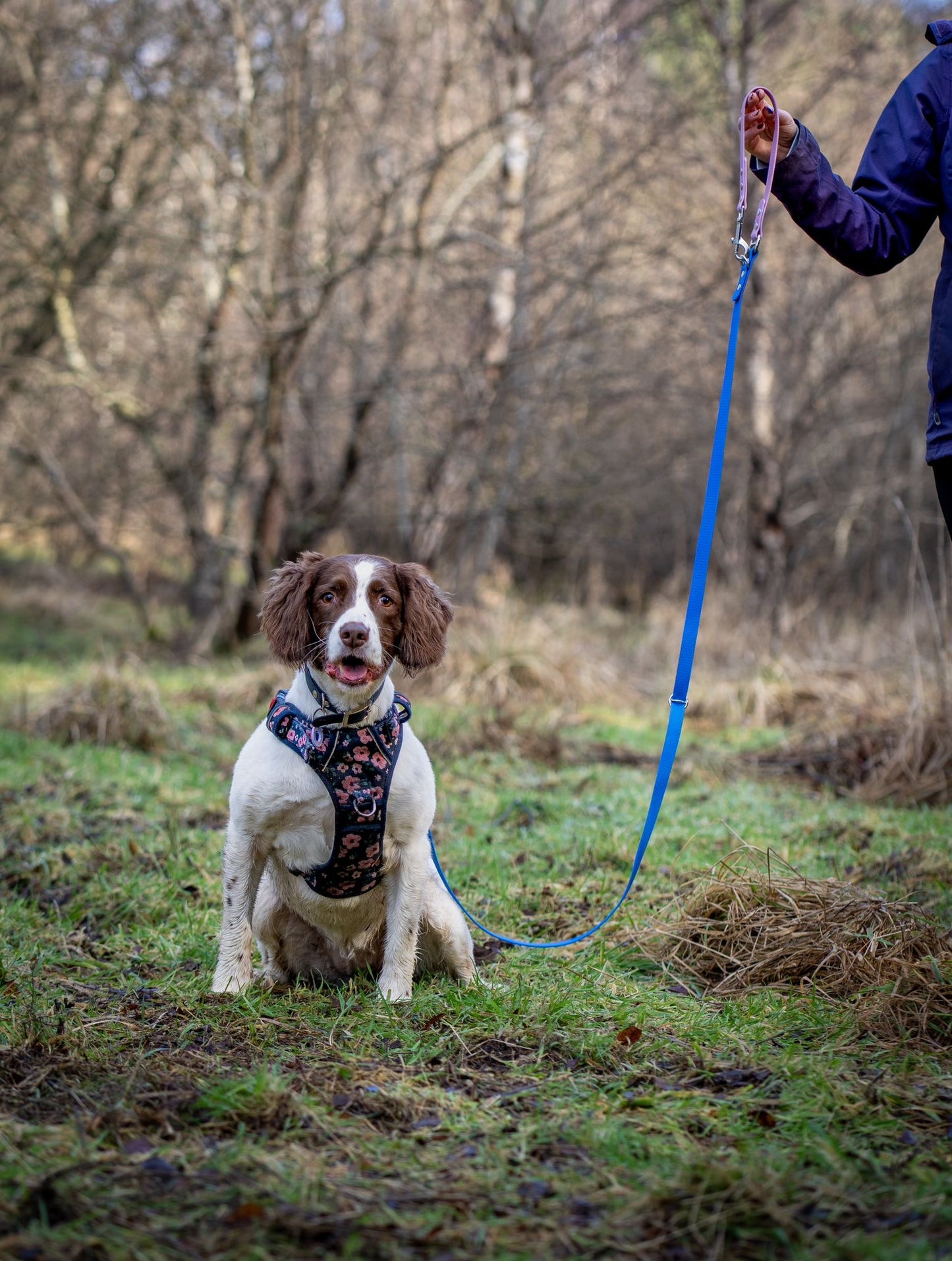 Hexa Duallie Multiway Lead