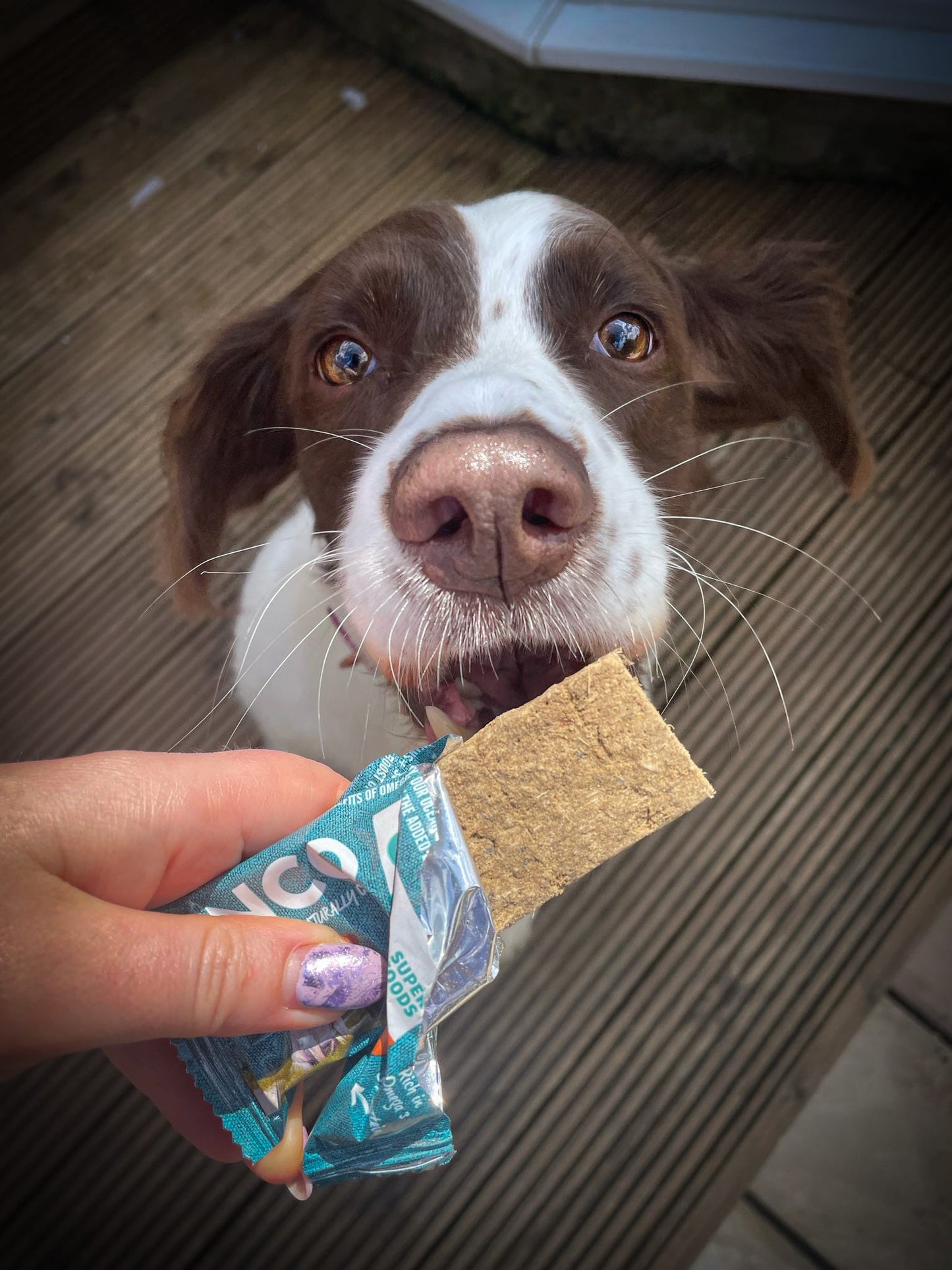 Anco Oceans+ Protein Bars