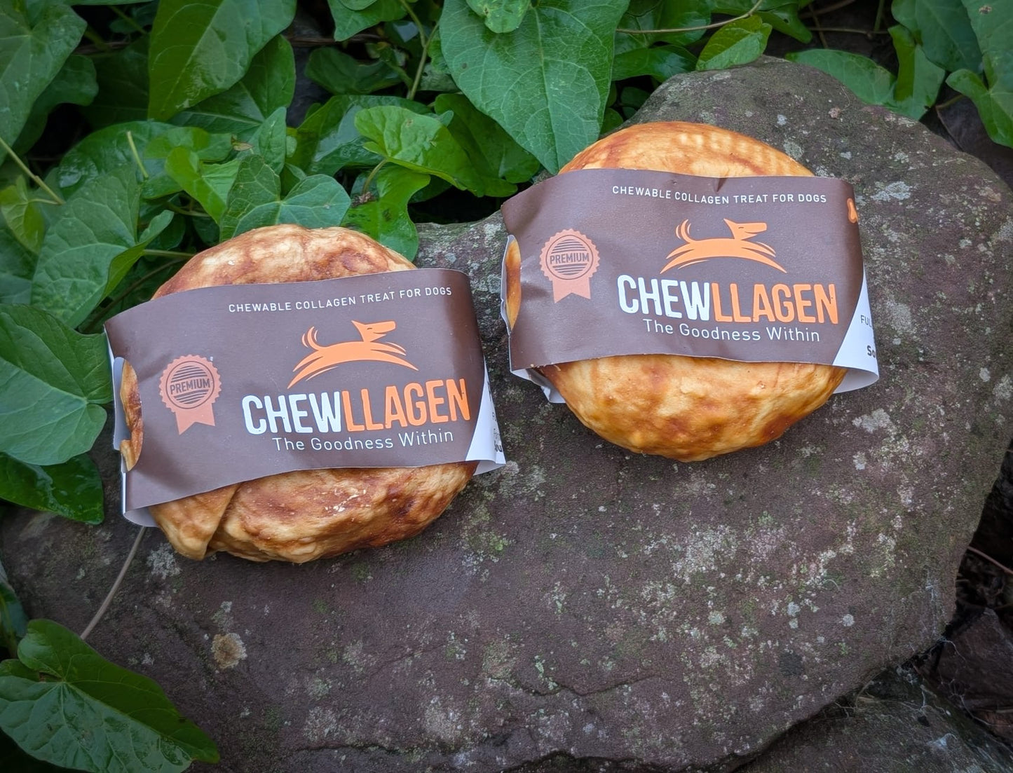 Chewllagen Donuts
