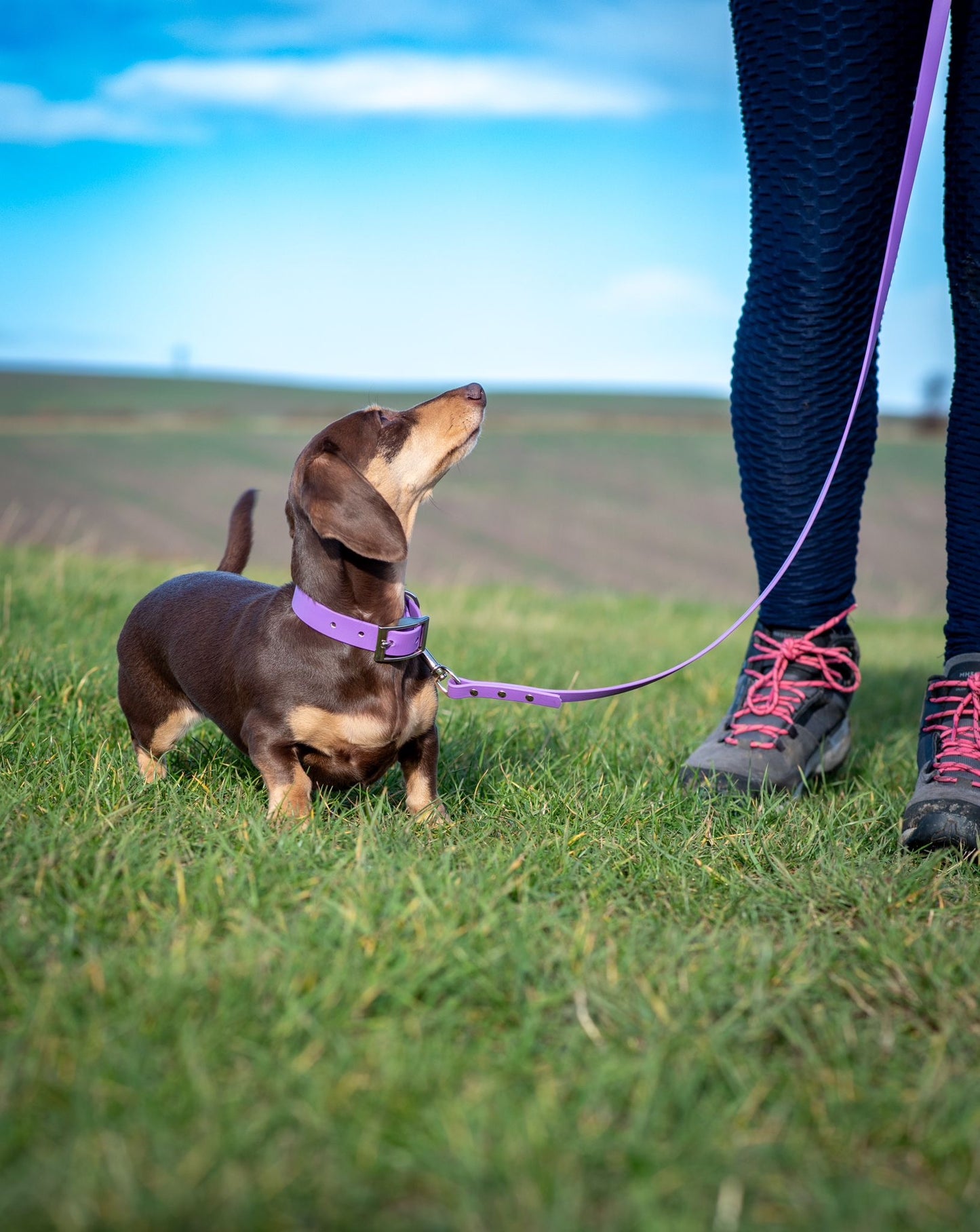 BioThane® Collar and Lead Sets (12mm)