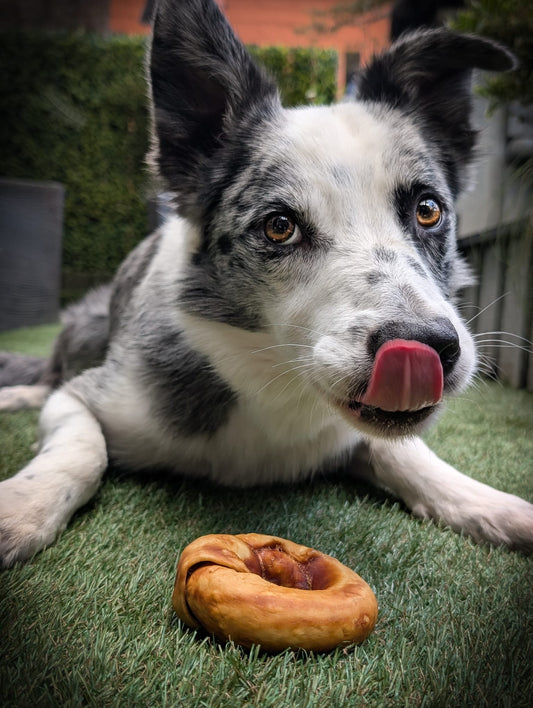 Chewllagen Donuts