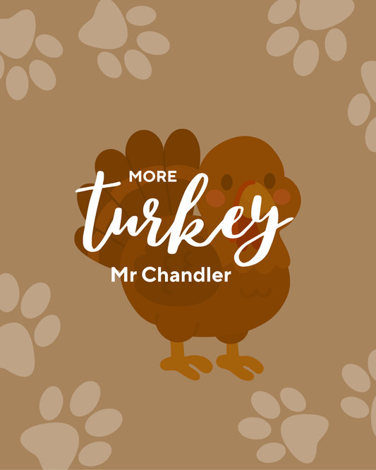 More Turkey Mr Chandler
