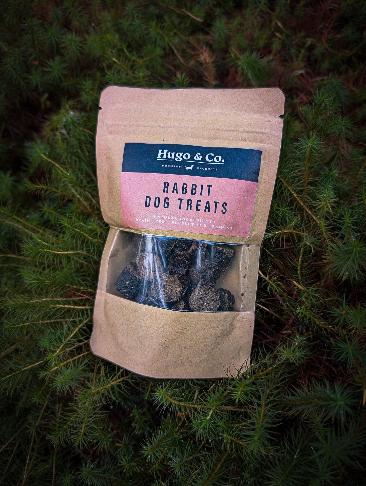 Hugo and Co. Treats