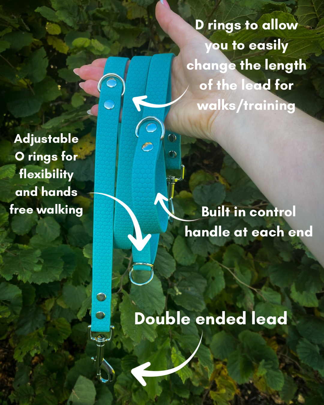 Mizz Pawz Collar and Lead Set