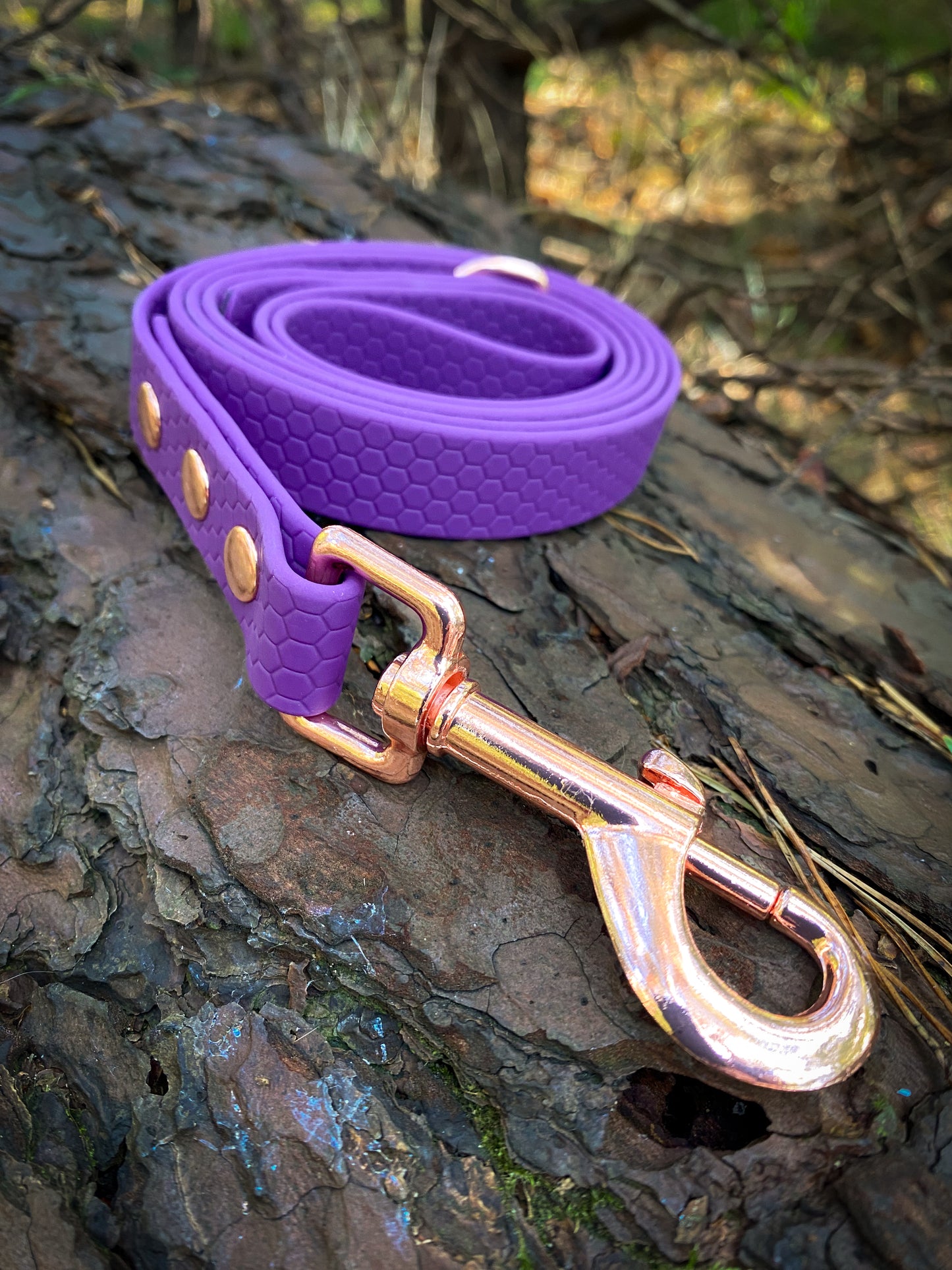 Hexa Webbing Buckle Collars