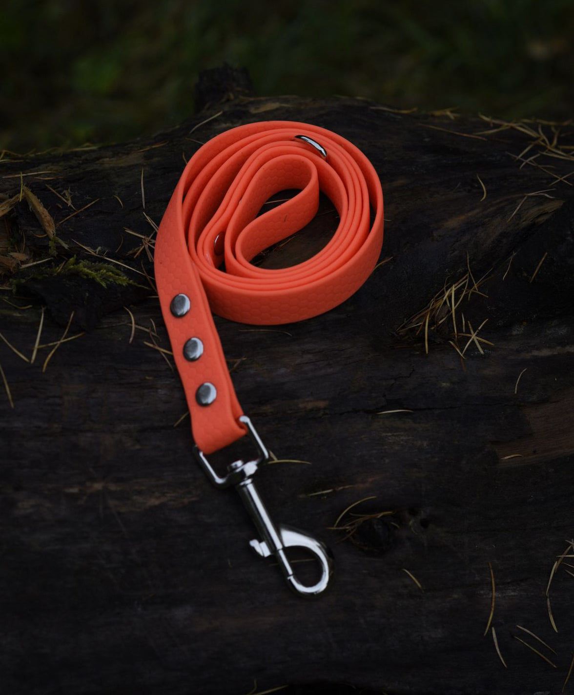 Hexa Webbing Training Lines