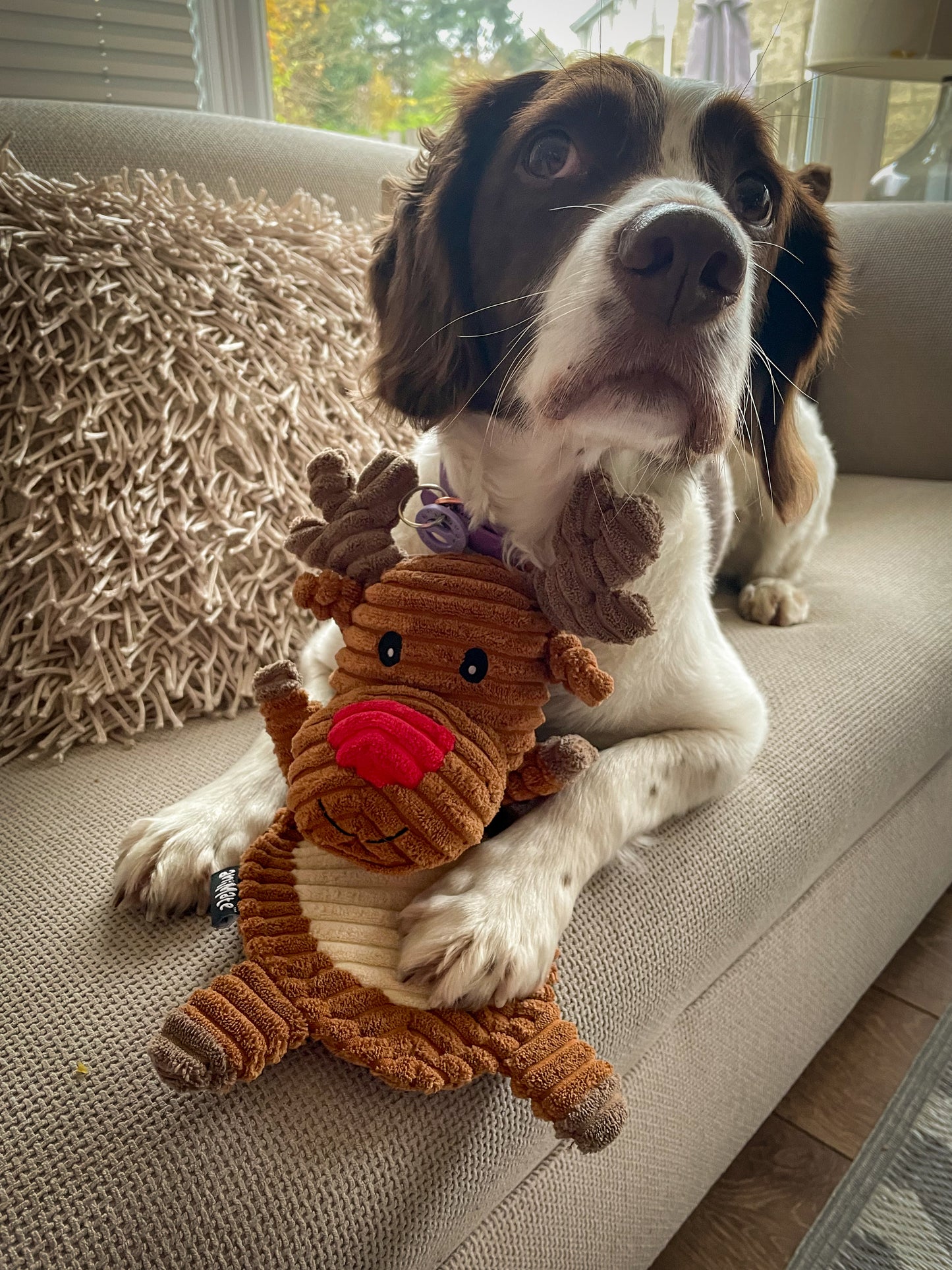 Christmas Crinkle Toy
