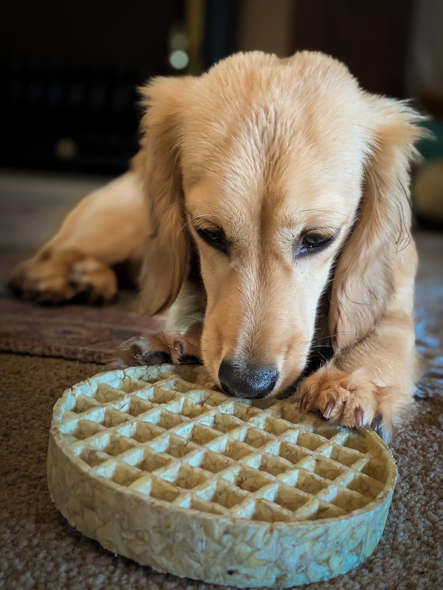 Collagen Waffles (large)